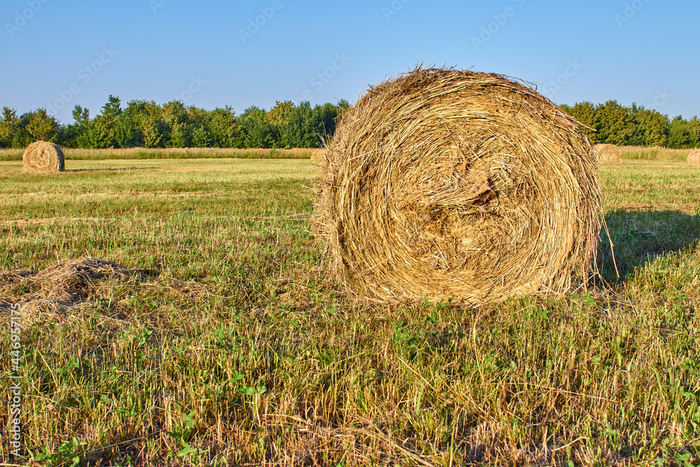 One haystack on the background of a field at sunset