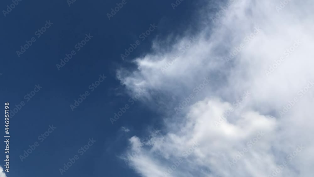 Timelapse of White Cumulus Clouds Changing Shape In Blue Sky With Green Trees. Timelapse of White Cumulus Clouds Changing Shape In Blue Sky With Green Trees.