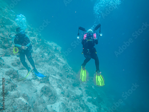 Divers dive on the reefs of the Red Sea