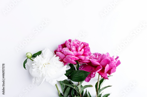 Fresh pink and white peonies bouquet on white background. Copy space.