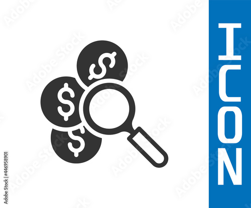 Grey Search for money icon isolated on white background. Vector
