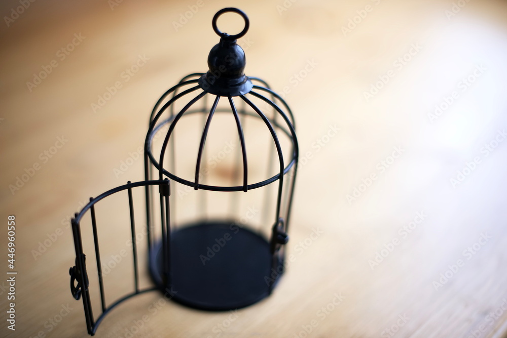 Close up open bird cage : freedom concept