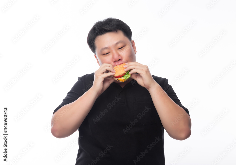 Young Funny Fat Asian man eating hamburger isolated on white background, Unhealthy concept. Young Funny Fat Asian man eating hamburger isolated on white background, Unhealthy concept.