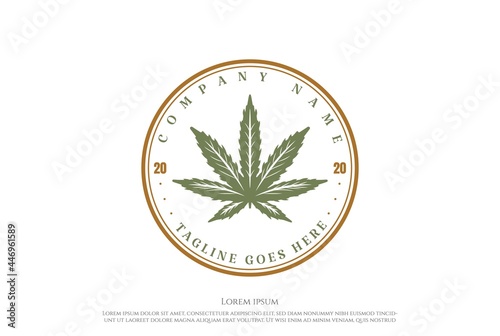 Retro Vintage Cannabis Marijuana Ganja Leaf for Hemp CBD Oil Label Logo Design Vector