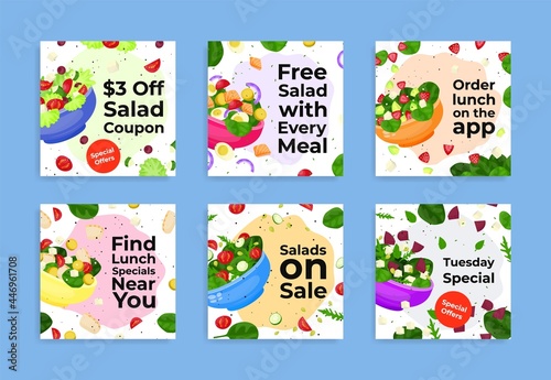 Collection salad special offers vector flat illustration. Set of squared advertising menu sale