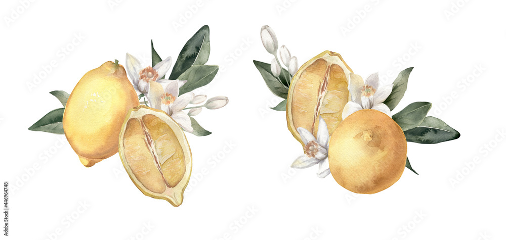 Watercolor hand drawn bouquets of lemons, citrus flowers and branches. Perfect for invitation and social media. Watercolor hand drawn bouquets of lemons, citrus flowers and branches. Perfect for invitation and social media.