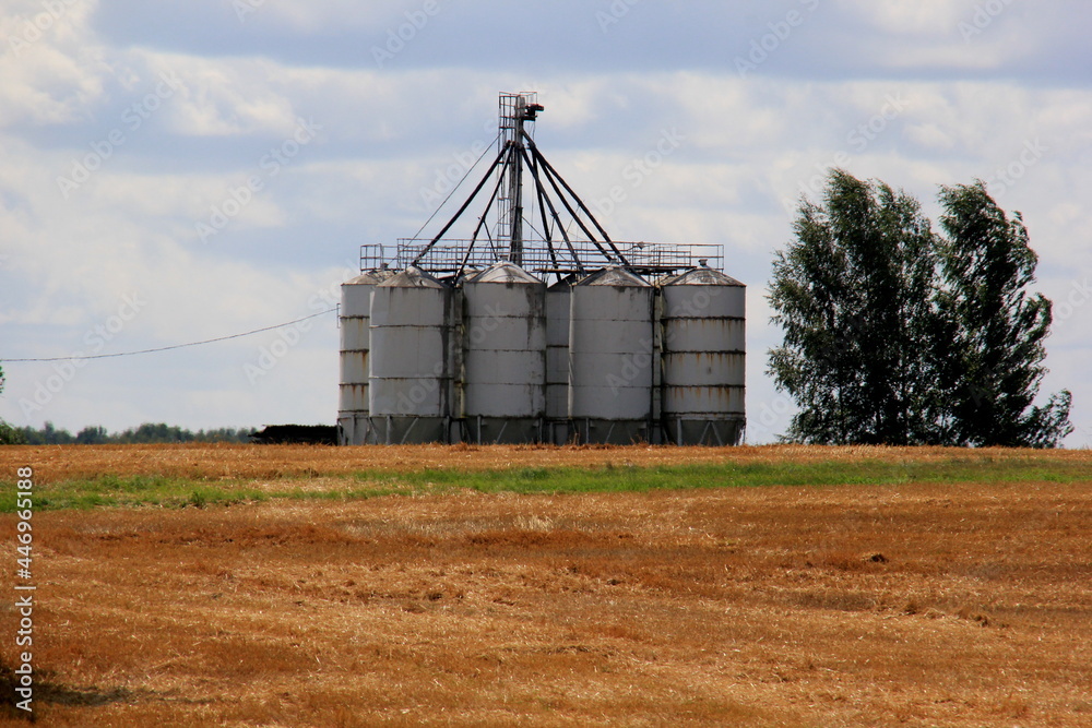 Grain warehouse. Old grain elevators in a field at sunset Grain warehouse. Old grain elevators in a field at sunset