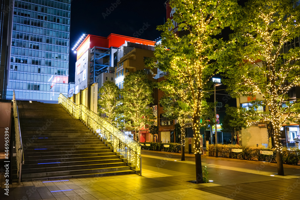 Fototapeta premium 東京都 秋葉原のクリスマスイルミネーション