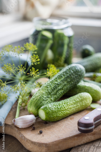 Pickling cucumbers . Gucumbers , glass jar , garlic ,dill, currant leaves on a wooden table. Russian Traditional food . pickled cucumbers . Recipes .