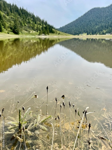 Überfluteter Bergsee in den Alpen auf einer Wanderung bei Garmisch Partenkirchen zur Esterbergalm photo