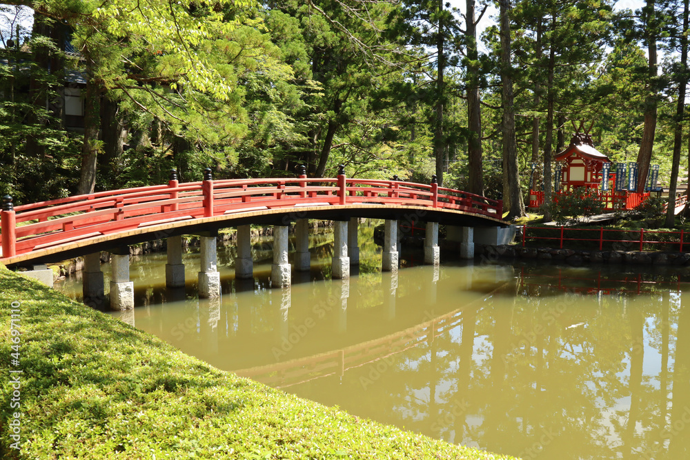bridge in the park bridge in the park