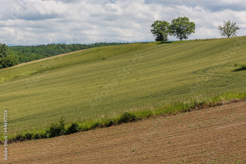 Paysage du sud ouest