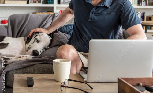 Man using computer laptop to consult with a animal veterinarian from home.