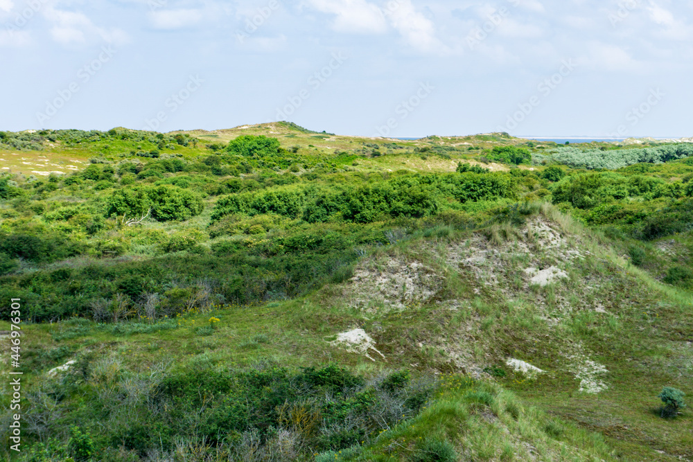 Borkum