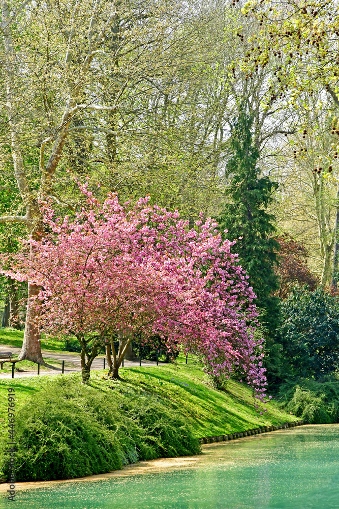 Poissy; France - april 11 2019 : the Meissonier park