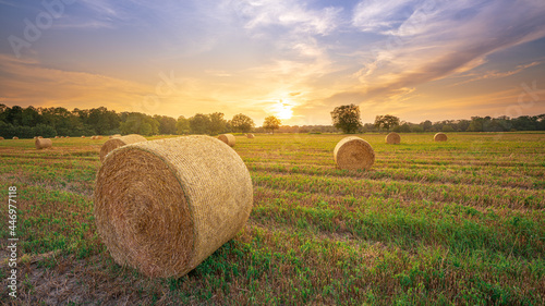 Sunset over a harvested wheat field with straw round bales