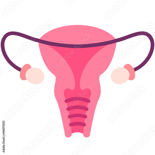 Female Reproductive System