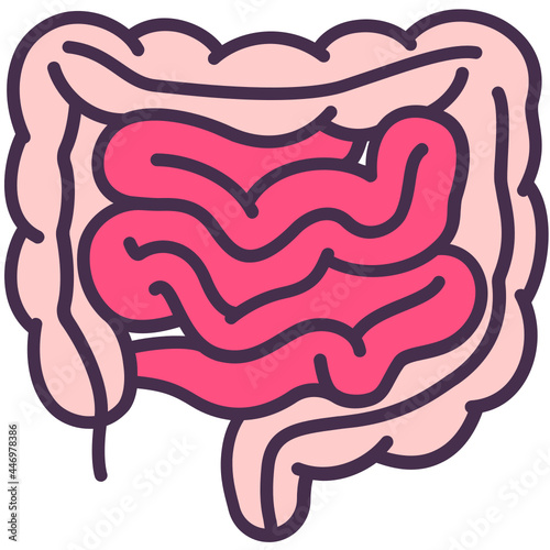 Intestine