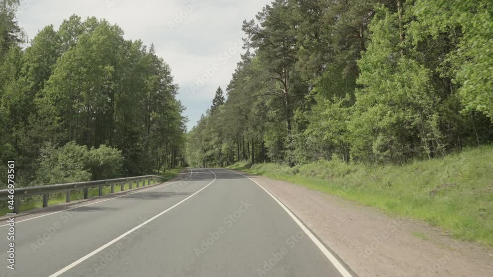 Slow motion driving plate through forest in sunny summer day Slow motion driving plate through forest in sunny summer day
