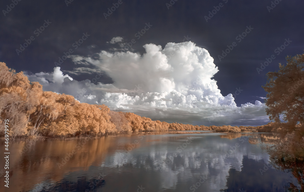 Infrared Red false color image of the main road and flooded Big flats area with big white clouds at Myakka River State Park in Sarasota Florida USA