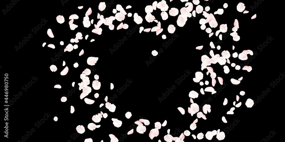 Light pink rose petal leaves images