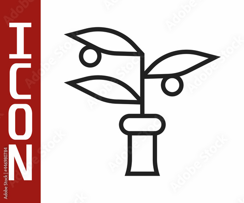 Black line Plant breeding icon isolated on white background. Plants growing in the test tubes. Organic food ,agriculture and hydroponic. Vector