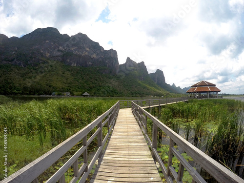 wooden bridge over lake