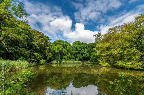 Forest lake with surrounding beech forest  The trees are reflected in the lake.