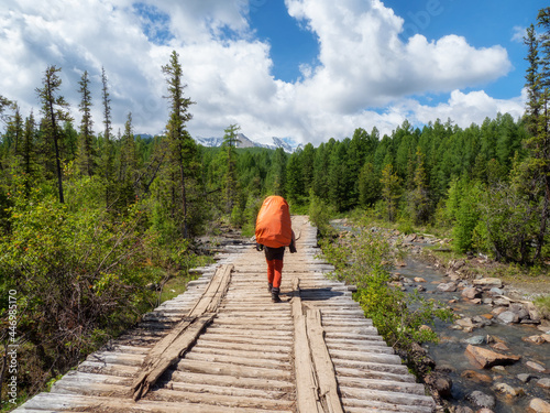 A male tourist with a large orange backpack walks along an old wooden bridge against the background of a coniferous forest and mountains in the distance