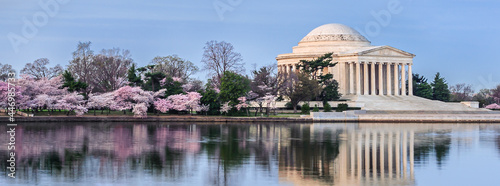 Jefferson memorial in spring photo