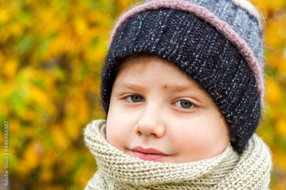 Autumn mood. A boy poses against a background of yellow leaves. Autumn portrait of a child in a knitted hat. Sight. Cute smiling boy. Autumn mood. A boy poses against a background of yellow leaves. Autumn portrait of a child in a knitted hat. Sight. Cute smiling boy.