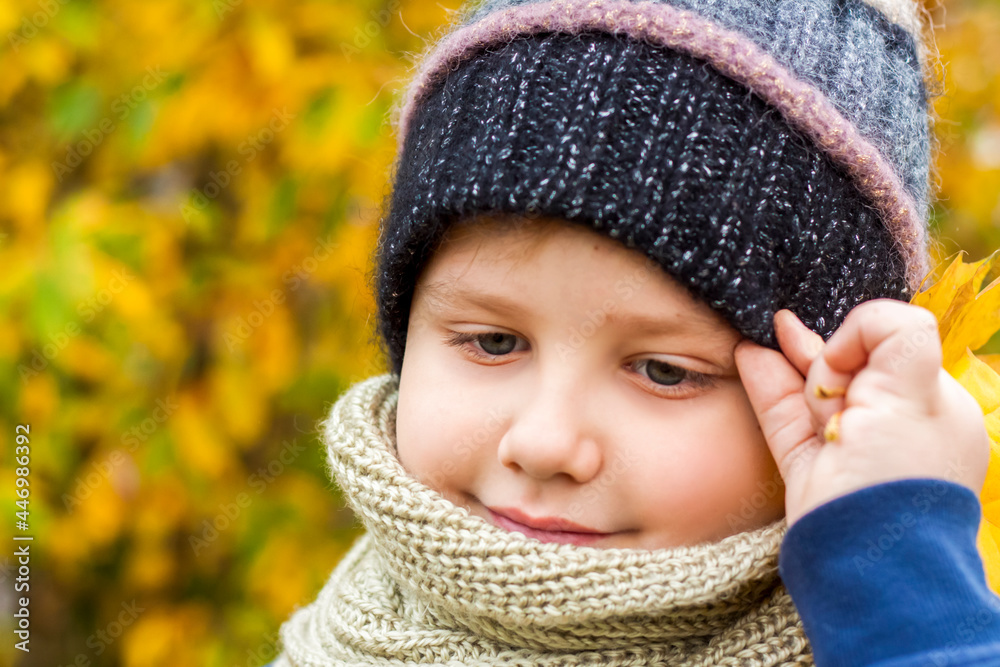 Autumn mood. A boy poses against a background of yellow leaves. Autumn portrait of a child in a knitted hat. Sight. Cute smiling boy. Autumn mood. A boy poses against a background of yellow leaves. Autumn portrait of a child in a knitted hat. Sight. Cute smiling boy.