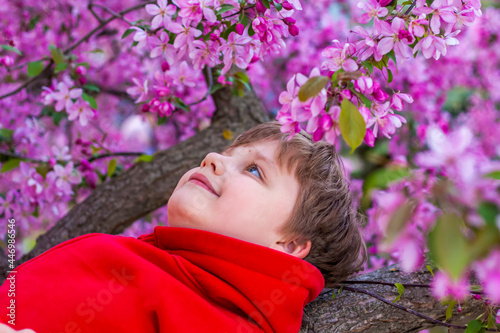 Portrait of a child in pink apple flowers. The apple tree is in bloom. Spring flowering of the apple orchard. Background for presentations, posters, banners and greeting cards.