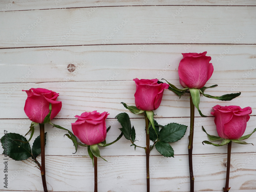 Five roses on a wooden background Five roses on a wooden background