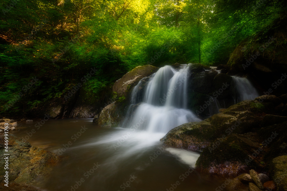 Waterfall deep in the forest. The beauty of green plants in summer time.	