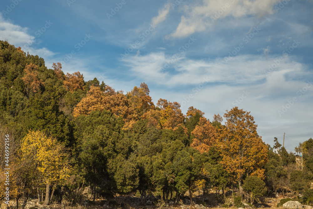 Autumn in Antalya Bey Mountains
