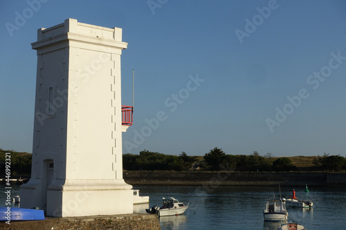 Feu de l'aron à Saint-Gilles-Croix-de-Vie photo