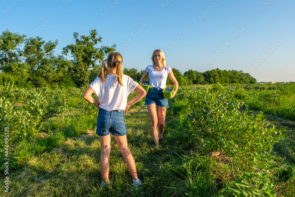Young mother with her daughter picking blueberries on organic farm.