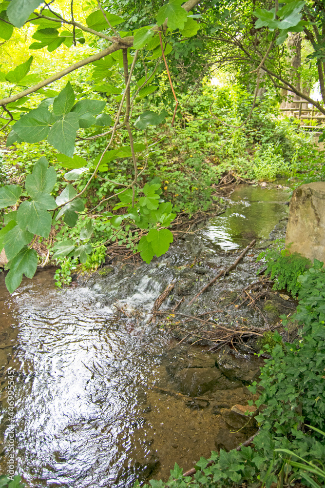 Hueznar river in San Nicolas del Puerto, North Seville Mountain, Andalusia, Spain. Vertically Hueznar river in San Nicolas del Puerto, North Seville Mountain, Andalusia, Spain. Vertically