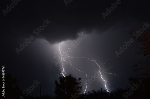 Lightning at night behind tree 