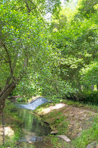 Trees and a small waterfall of the Hueznar river behind in San Nicolas del Puerto  North Seville Mountain  Andalusia  Spain. Vertically