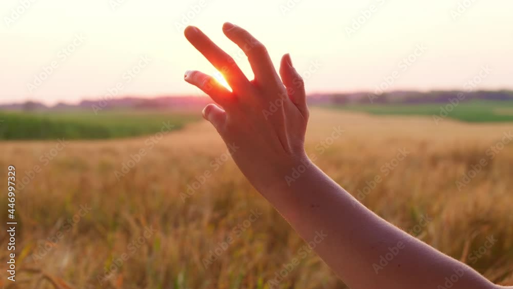 The sun's rays shine through the fingers of a woman's hand. The sun's rays shine through the fingers of a woman's hand.
