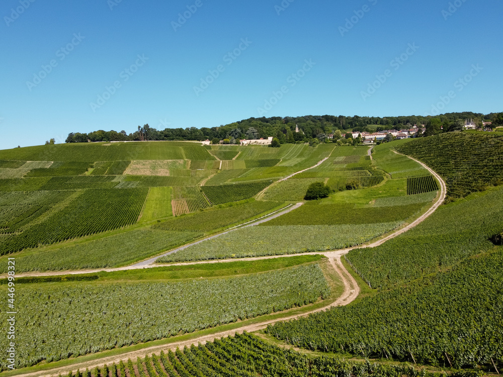 Aerial view on green vineyards in Champagne region near Epernay, France, white chardonnay wine grapes growing on chalk soils