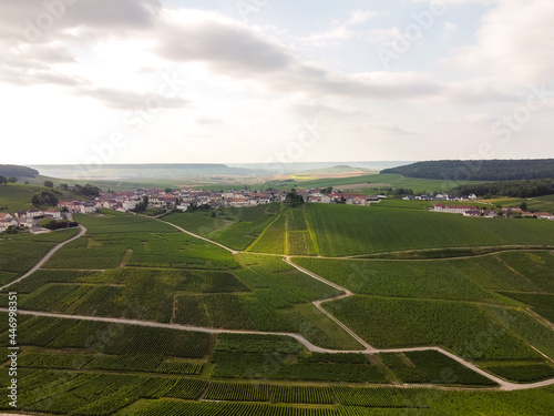 Aerial view on green vineyards in Champagne region near Epernay, France, white chardonnay wine grapes growing on chalk soils