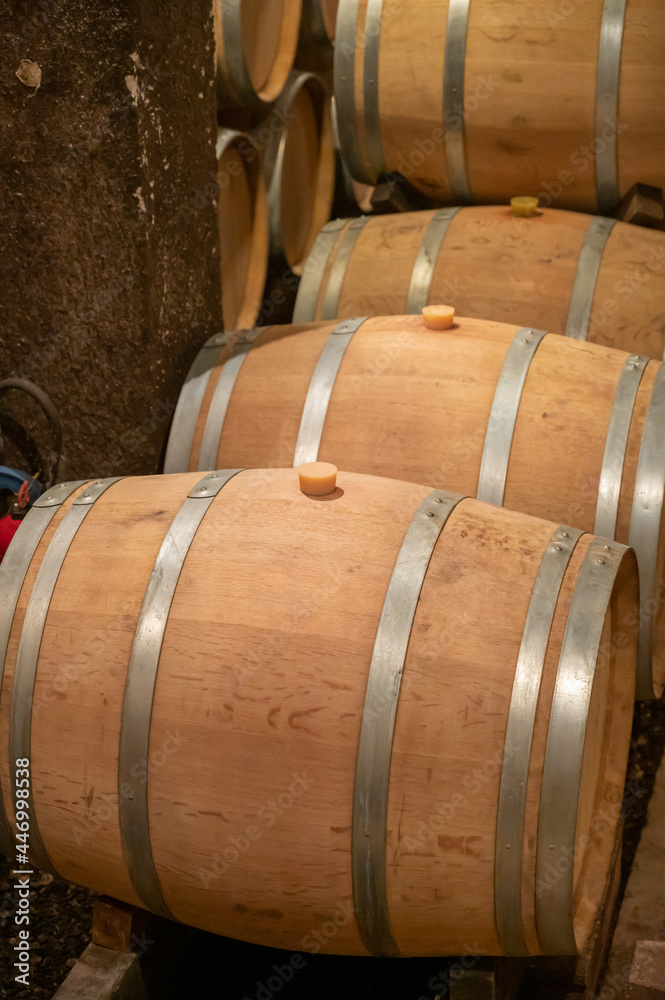 Keeping for years of dry red wine in new oak barrels in caves in Burgundy, made from pinot noir grape