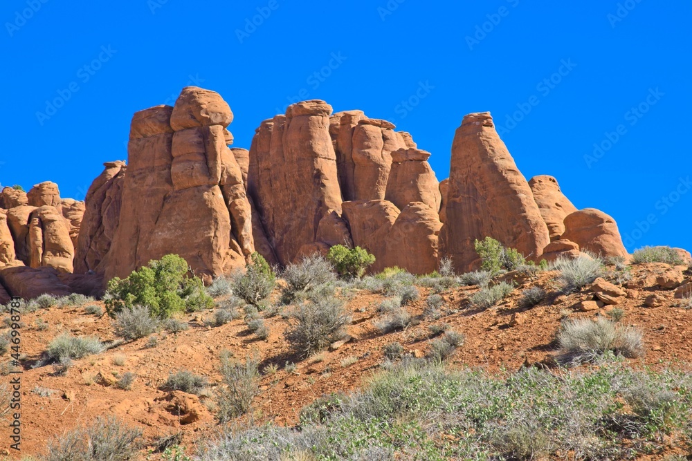 Fototapeta premium Arches National Park, Utah, USA. the landscape of contrasting colors and textures. natural stone arches and hundreds of soaring pinnacles