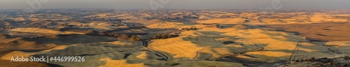 Palouse panorama