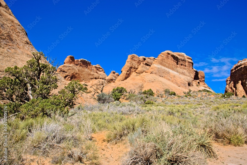 Fototapeta premium Arches National Park, Utah, USA. the landscape of contrasting colors and textures. natural stone arches and hundreds of soaring pinnacles