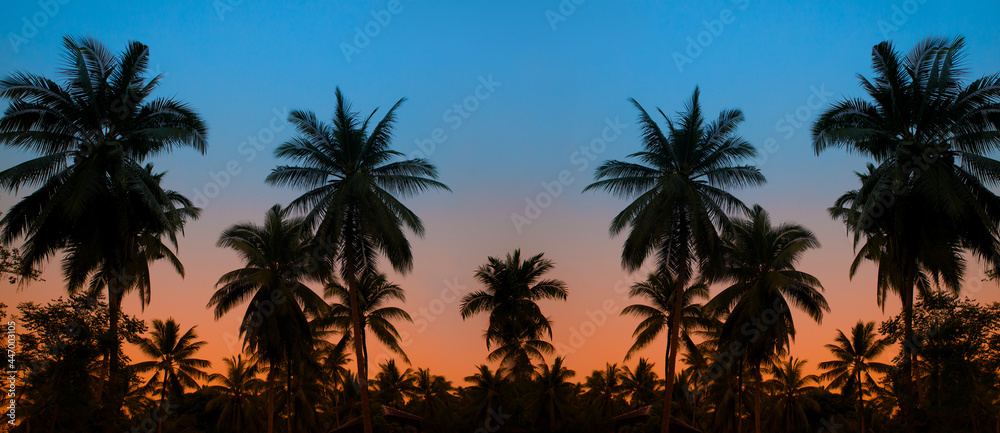 Silhouettes of palm trees on a background of a sunset sky