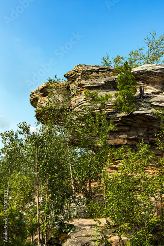 Stone city, Perm region, Russia. Turtle rock. Natural Landscape landmark reserve park on blue sky background. Down view. Selective soft focus. Shallow depth of field. Text copy space.